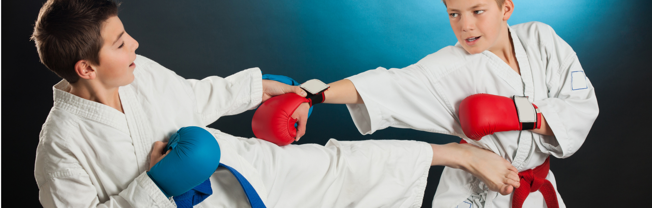 Why It Is Important for Beginners to Use Karate Protective Gear?