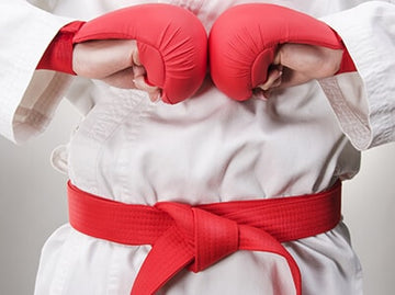 From Novice to Ninja: Unveiling the Best Martial Arts Shop in New Zealand