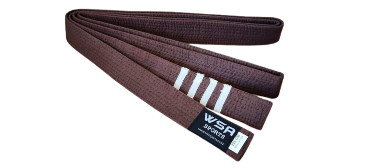 Brown Belt with 4 white stripes