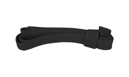 Martial Arts Black Belt