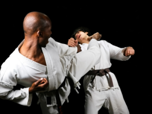 martial arts training equipment